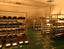 ការធ្វើតេស្តចាស់