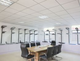 បង្ហាញរ៉ូន