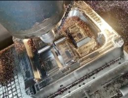 ផ្សិតតាមដងផ្លូវតាមតម្រូវការ